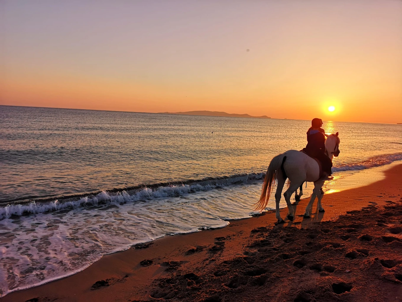 Horseback riding on the beach in Crete