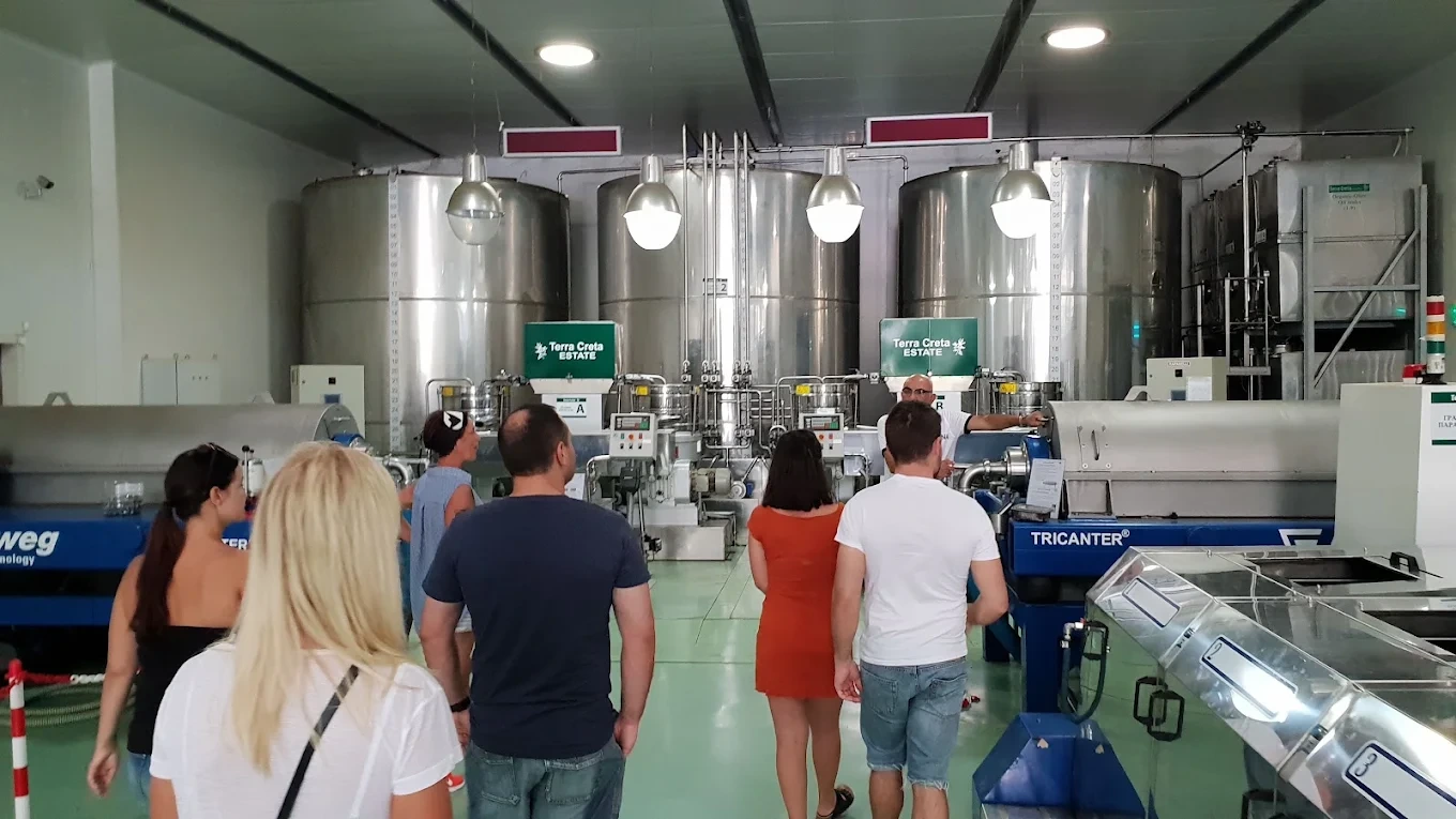 Unique olive oil tasting tour